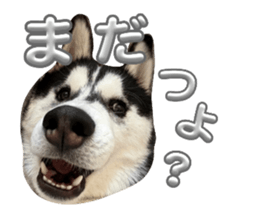 764247747