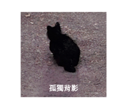 764251930