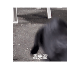 764251932