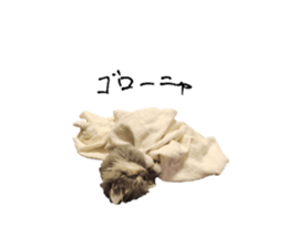764252576