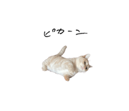 764252579