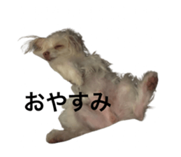 764253018