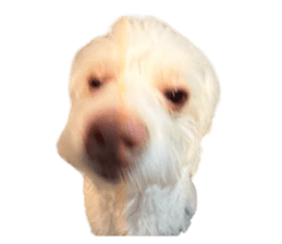 764253037