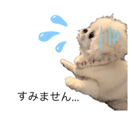 764259302