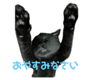 764270346