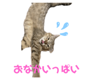 764270348