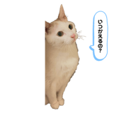 764282751