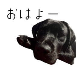 764294201
