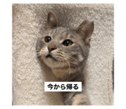 764294878