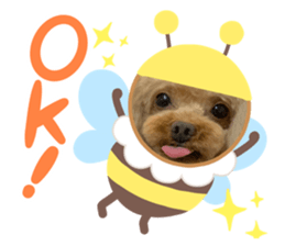 764329906