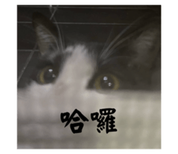 764334741