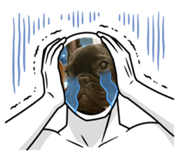 764354129