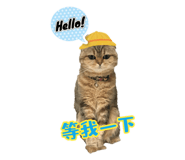 764363434