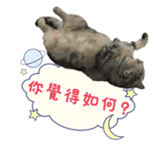 764363446