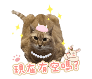 764363448