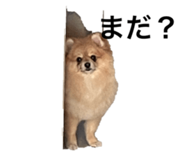 764376979