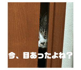 764379813