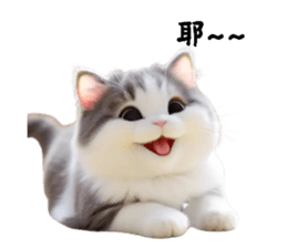 764379885