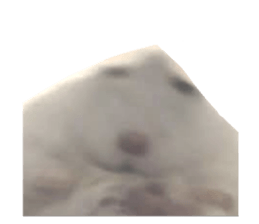 764380651