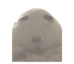 764380652