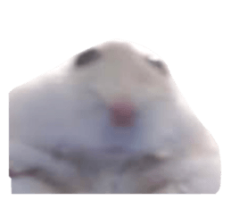 764380653