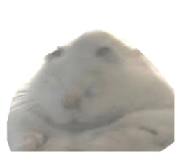 764380654