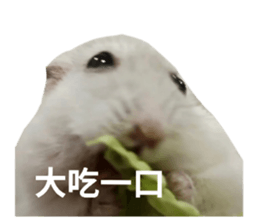764380655