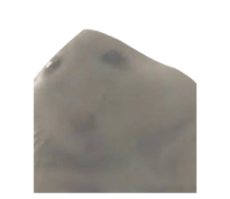 764380656
