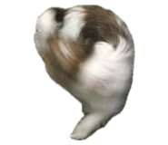 764381758