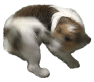 764381759
