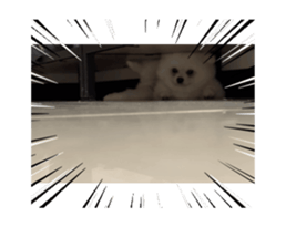 764384446