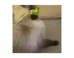 764385051