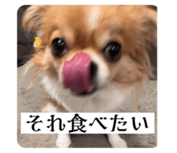 764387278