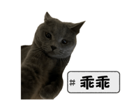 764387468