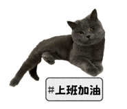 764387470