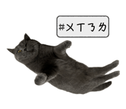 764387476