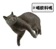764387477