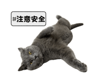 764387479