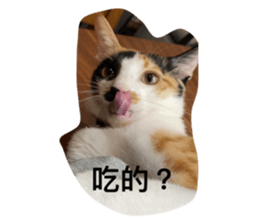 764387872
