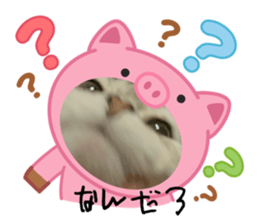 764388705