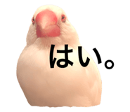 764390171