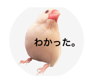 764390172