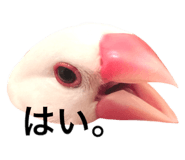 764390174