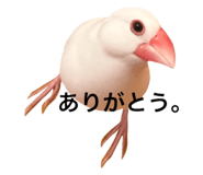 764390175