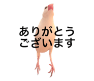 764390176