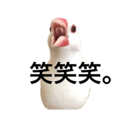 764390180