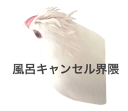 764390181