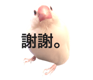 764390183