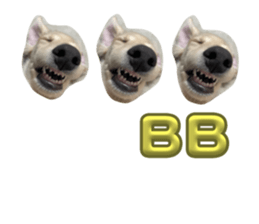 764392281