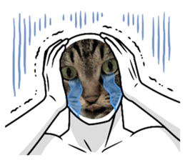 764404440